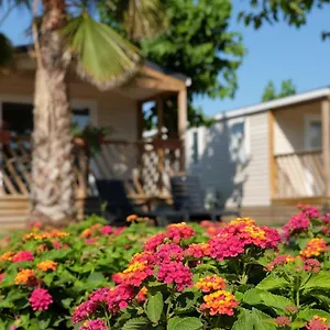 Camping El Pinar Camping Blanes